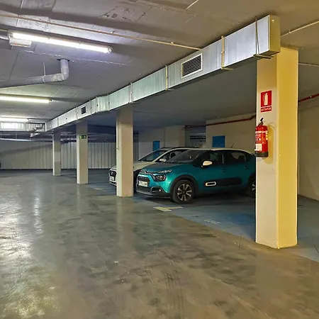 Alazan - Ole Solutions