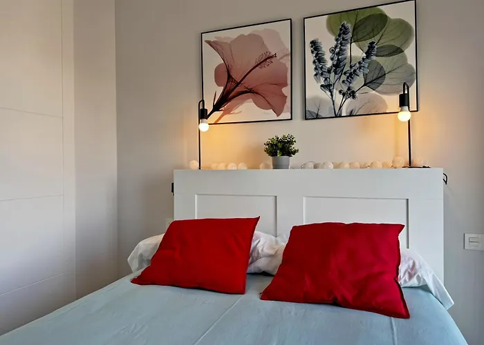 Alazan - Ole Solutions Jerez de la Frontera