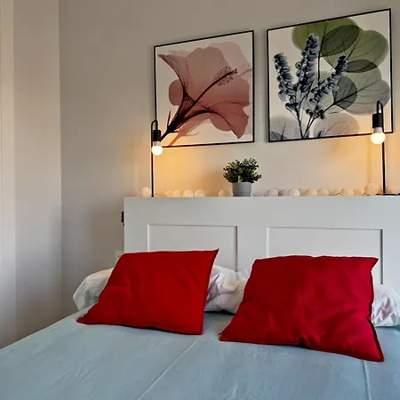 Alazan - Ole Solutions Jerez de la Frontera